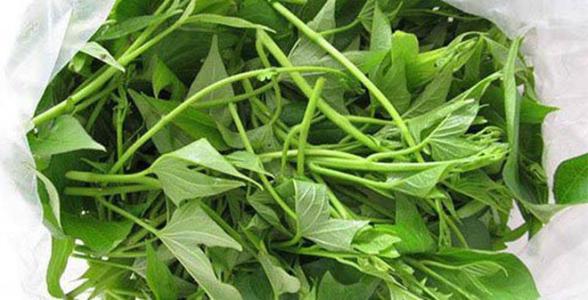 Lợi ích của rau khoai lang