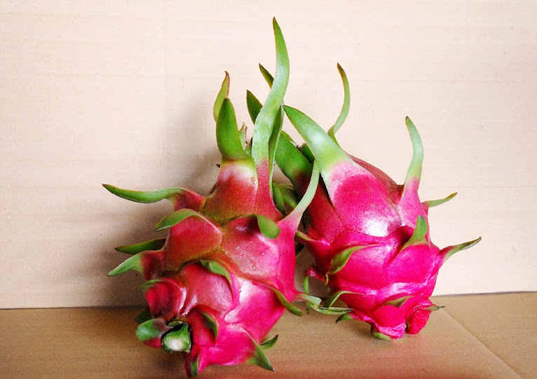 Thuốc từ quả thanh long