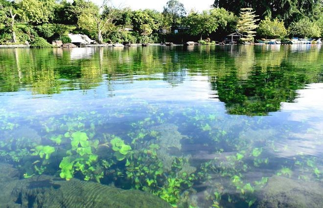 Suối mơ – Điểm du lịch mới nổi ở gần Sài Gòn