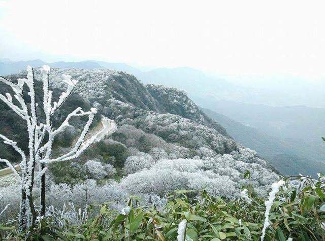 Trên đỉnh núi Phia Oắc (Cao Bằng) xuất hiện băng giá