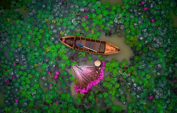 Mùa nước nổi ở An Giang