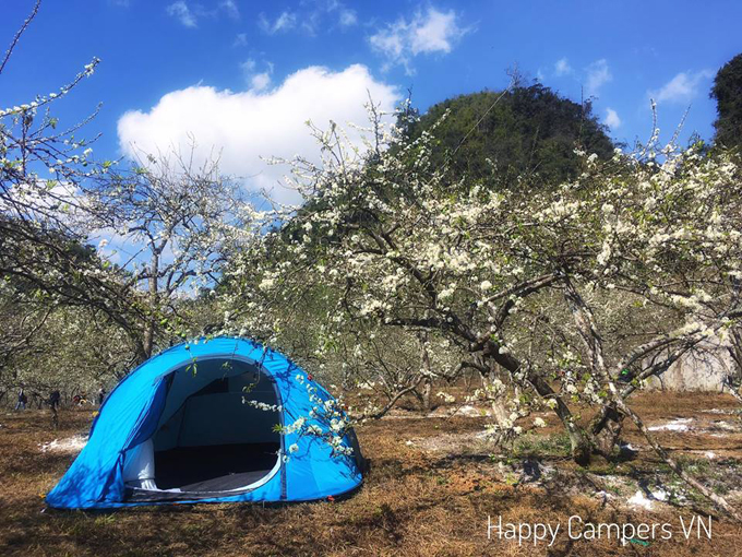Lên Mộc Châu cắm trại giữa mùa thập lý hoa đào - 2
