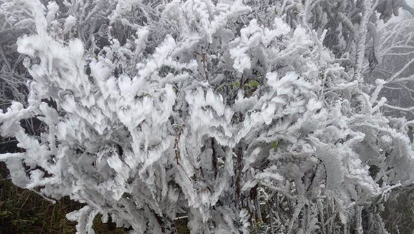 Dự báo thời tiết 31/1: Hà Nội rét 8 độ, nhiều nơi trắng băng tuyết