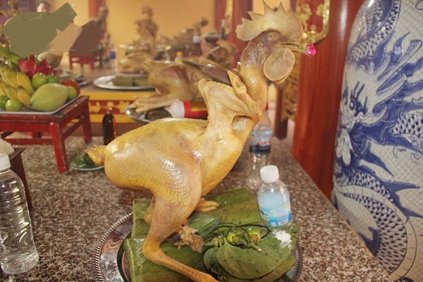 Lạ mắt thế gà quỳ, bay, đứng trên cỗ cúng rằm tháng Giêng