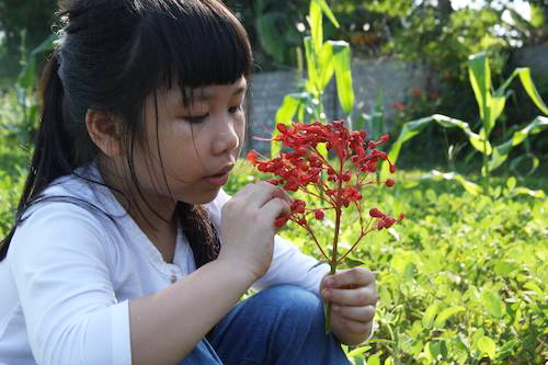 Bài văn viết về bố của học sinh lớp 5 đạt điểm 10 gây xúc động cho cô giáo