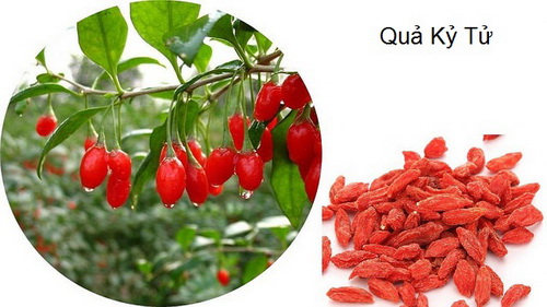 Bài thuốc cho nam giới khó 