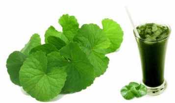 Nóng trong người, nổi mụn hãy dùng những loại lá sau