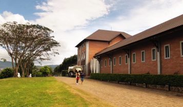 Cảnh đẹp như trời Âu ở nông trại bò sữa Lâm Đồng