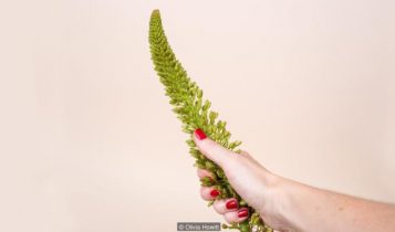 Ham muốn tình dục ở nữ giới: Những điều khó lý giải