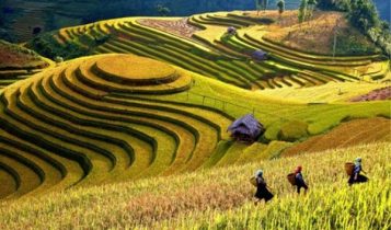 Mùa vàng tháng 9 lên Tây Bắc đẹp vô cùng