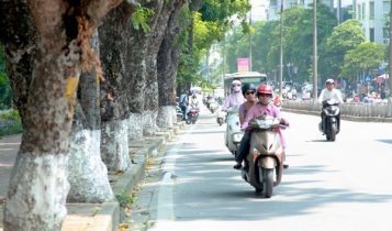 Bác Bộ thời tiết hanh khô, độ ẩm xuống thấp