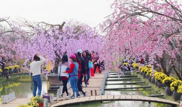 Thời tiết miền Bắc mưa nhỏ, miền Nam khô ráo