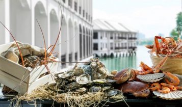 Món quà tuyệt vời cho những người phụ nữ của bạn