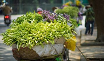 Thời tiết Hà Nội nắng ấm trước khi đón không khí lạnh