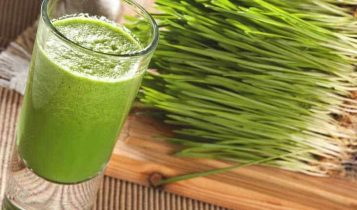 Thảo dược giúp phòng ngừa ung thư