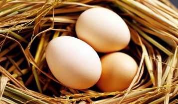 Trứng gà phòng chống tăng huyết áp?