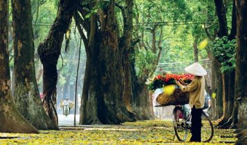 Thời tiết Hà Nội mát mẻ, Sài Gòn nắng gắt