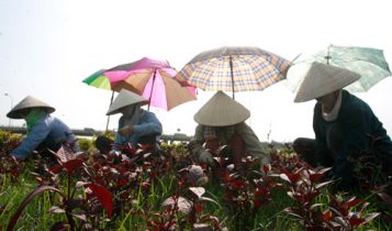 Tránh mất nước cơ thể vào mùa nắng nóng