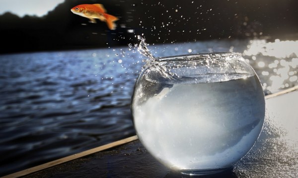 Những bài học sau mỗi lần vấp ngã