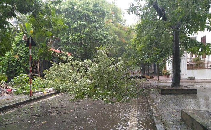 Mẹo giúp bạn an toàn khi mưa to