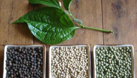 Giá tiêu 6/8: Giảm 500 đồng/kg