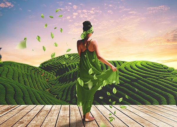 Cách đơn giản để bạn sống xanh hơn