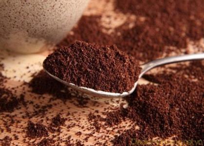 Giá cà phê 21/10: Giá sẽ tiếp tục giảm trong những tuần tới