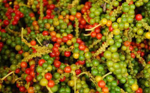 Giá cà phê 6/11: Tăng 700 đồng/kg