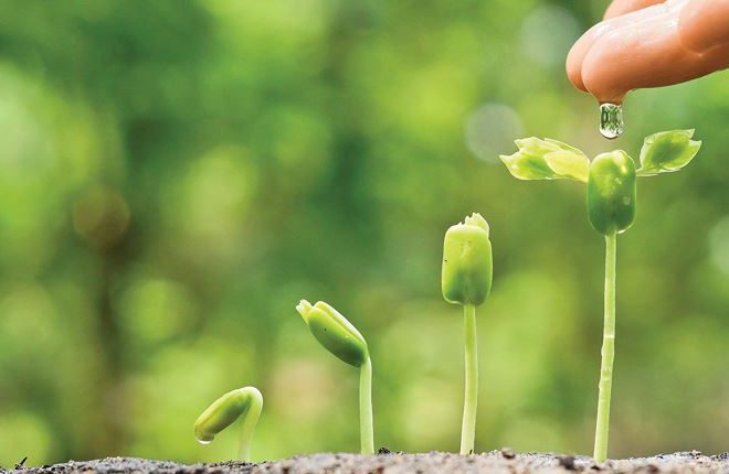 Phong thủy tốt là do mình nuôi dưỡng thành