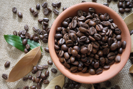 Giá cà phê 9/12: Chưa có biến động mới