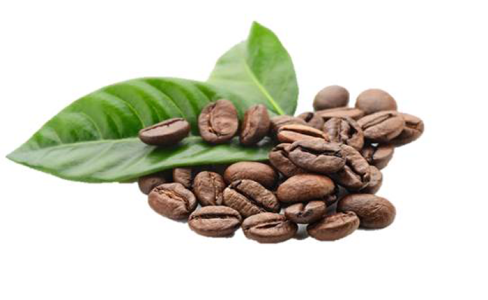 Giá cà phê 15/1: Tăng nhẹ 100 đồng/kg