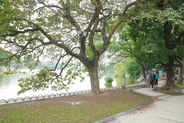 Thời tiết hôm nay Bắc bộ sáng có mưa, trưa chiều giảm mây hửng nắng