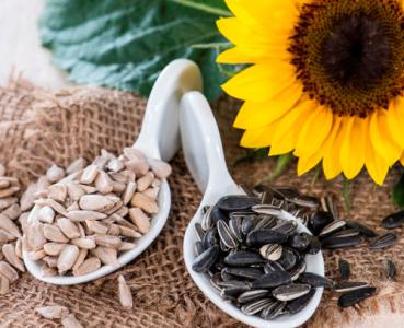 Ăn hạt hướng dương ngày Tết sao cho đúng cách mang lại lợi ích cho sức khỏe