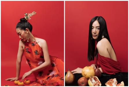 Mai Thanh Hà xây dựng hình ảnh 