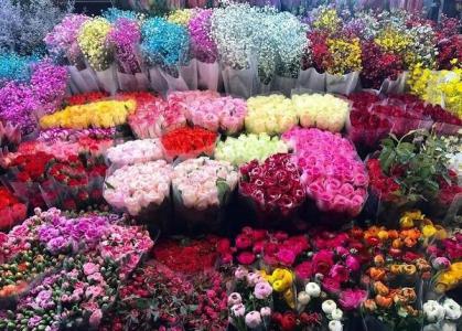 Giá hoa sẽ giảm mạnh vào dịp lễ 8/3