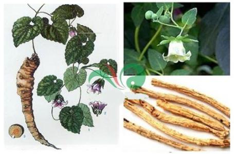 Trị chứng khô hạn cho chị em