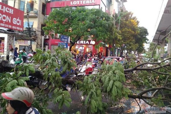 Thời tiết ngày 18/3/2020: Khí lạnh tràn về, Hà Nội gió giật mưa giông