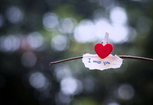 Câu chuyện tình cảm động của cô gái tuổi Dần