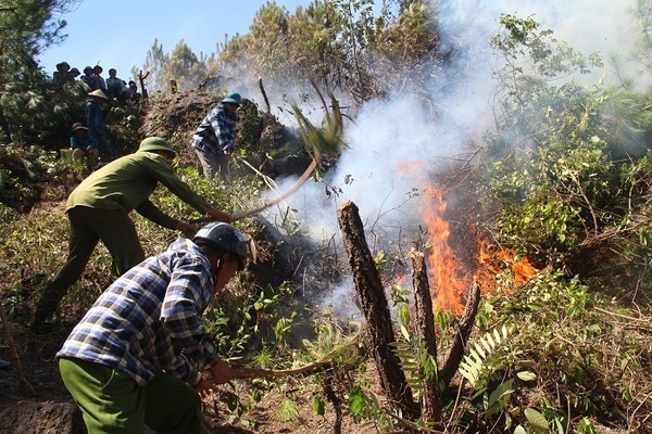 Dự báo thời tiết ngày 7/6/2020: Nắng nóng kéo dài, Trung Bộ đề phòng cháy rừng