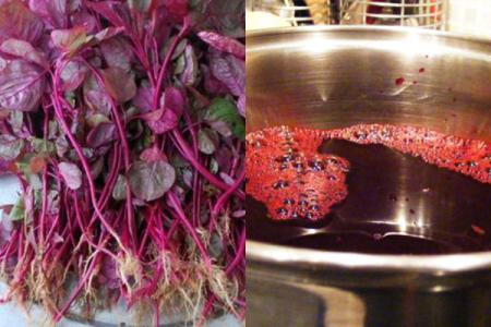 Chữa rụng tóc bằng rau dền đỏ