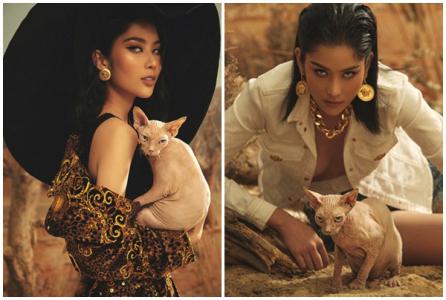 Nam Anh hoang dại diễn cùng mèo