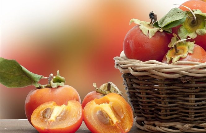 Ý nghĩa câu nói: 