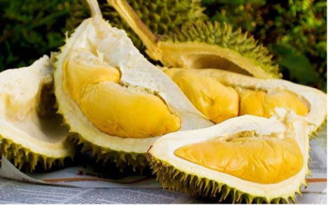 Khung giờ không nên ăn sầu riêng kẻo gây hại sức khỏe