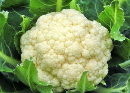 Thực phẩm biến bụng mỡ thành eo thon