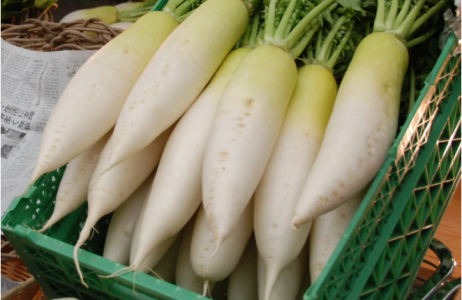 Củ cải trắng bí quyết sống thọ của người Nhật