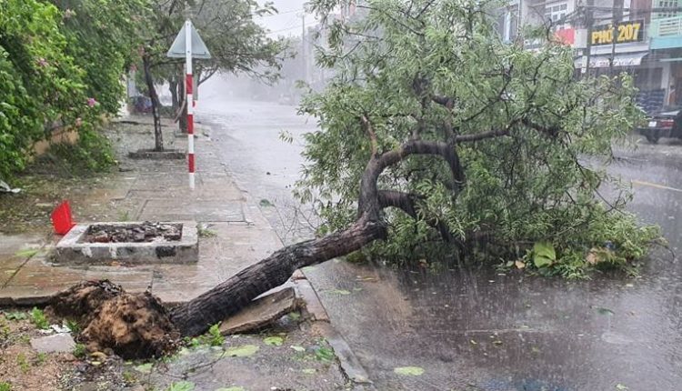 Dự báo thời tiết ngày 11/11/2020: Miền Trung quay quắt với mưa giông, gió giật