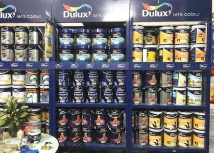 Sơn sinh học thanh lọc không khí: lá chắn xanh cho cuộc sống trong lành