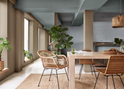 Thanh lọc không khí trong nhà hiệu quả với những giải pháp tự nhiên