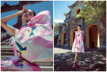 Hoa hậu Tiểu Vy khoe sắc tại Huế