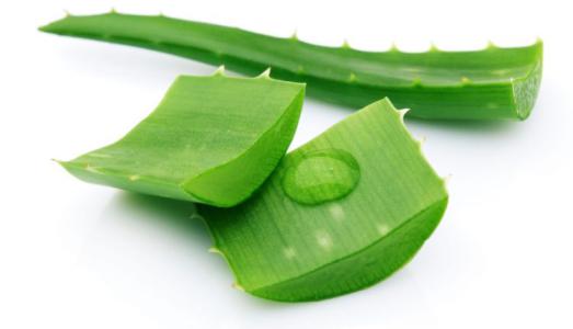 5 cách dưỡng trắng da bằng nha đam